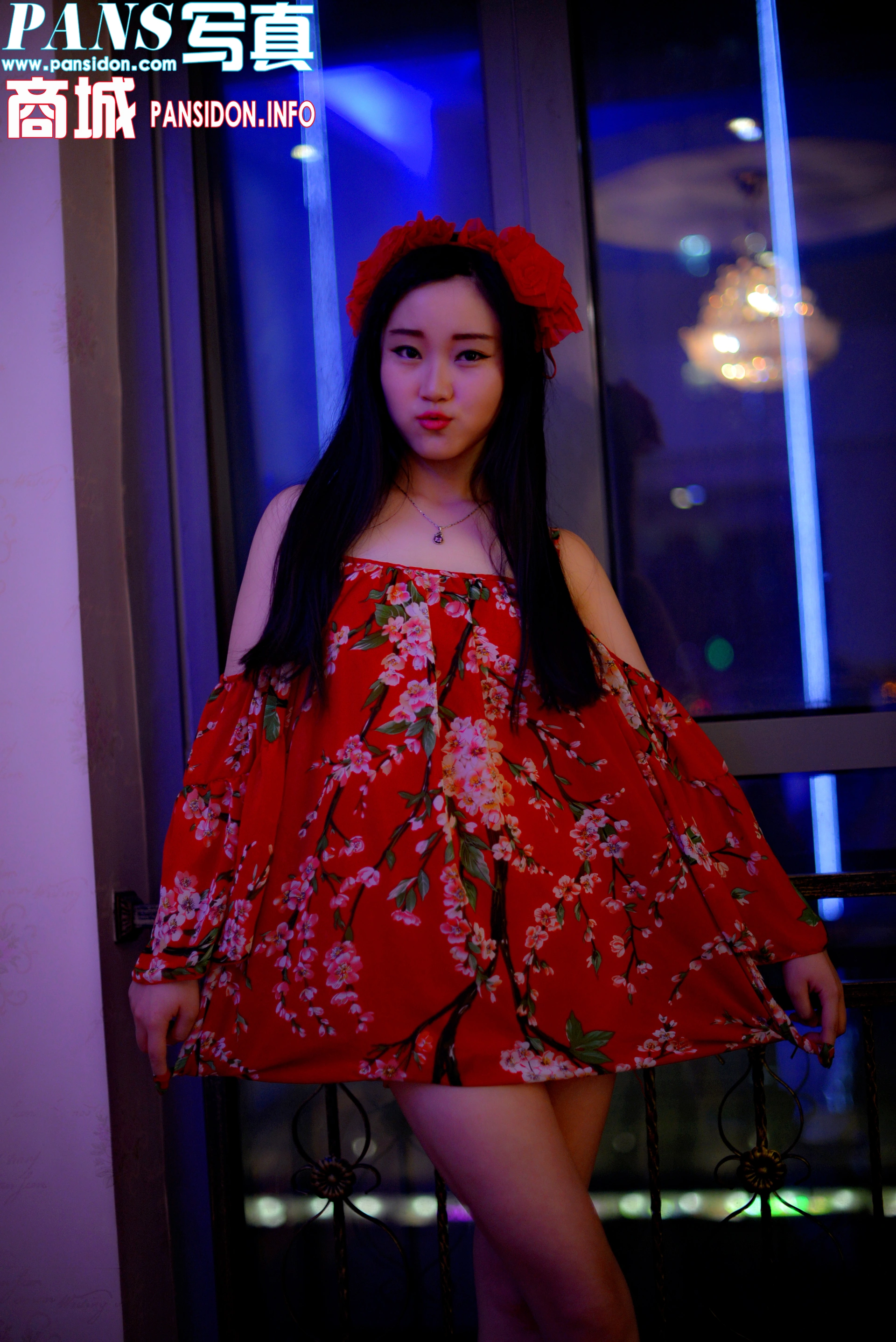 [PANS写真] 2016.11.03 No.672 小鱼 1